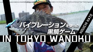 Let's start the black porgy lure game!] We will explain how to