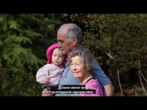Experiences Build Brain Architecture (Norwegian Subtitles)