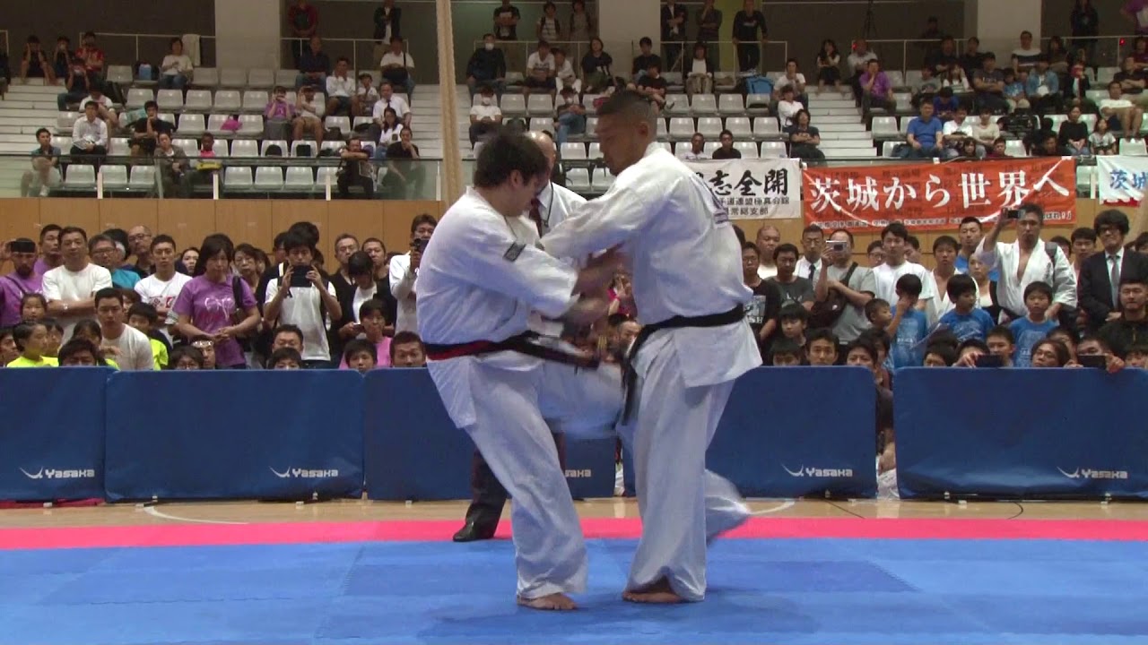 極真 第12回全世界大会最終選抜戦・決勝戦 20 星龍之介 vs 41 安島喬平