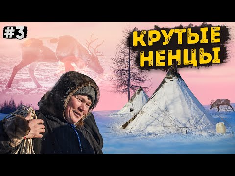 КАК ЖИВУТ НАСТОЯЩИЕ НЕНЦЫ ОЛЕНЕВОДЫ В ЧУМАХ / ДОБРАТЬСЯ ДО СЕВЕРНЫХ ОЛЕНЕЙ НА ВНЕДОРОЖНИКАХ. ЯМАЛ #3