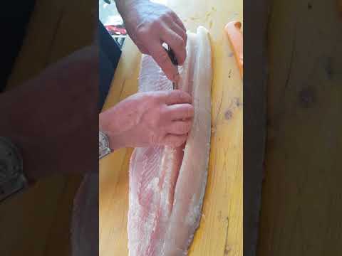 Hecht filetieren ohne