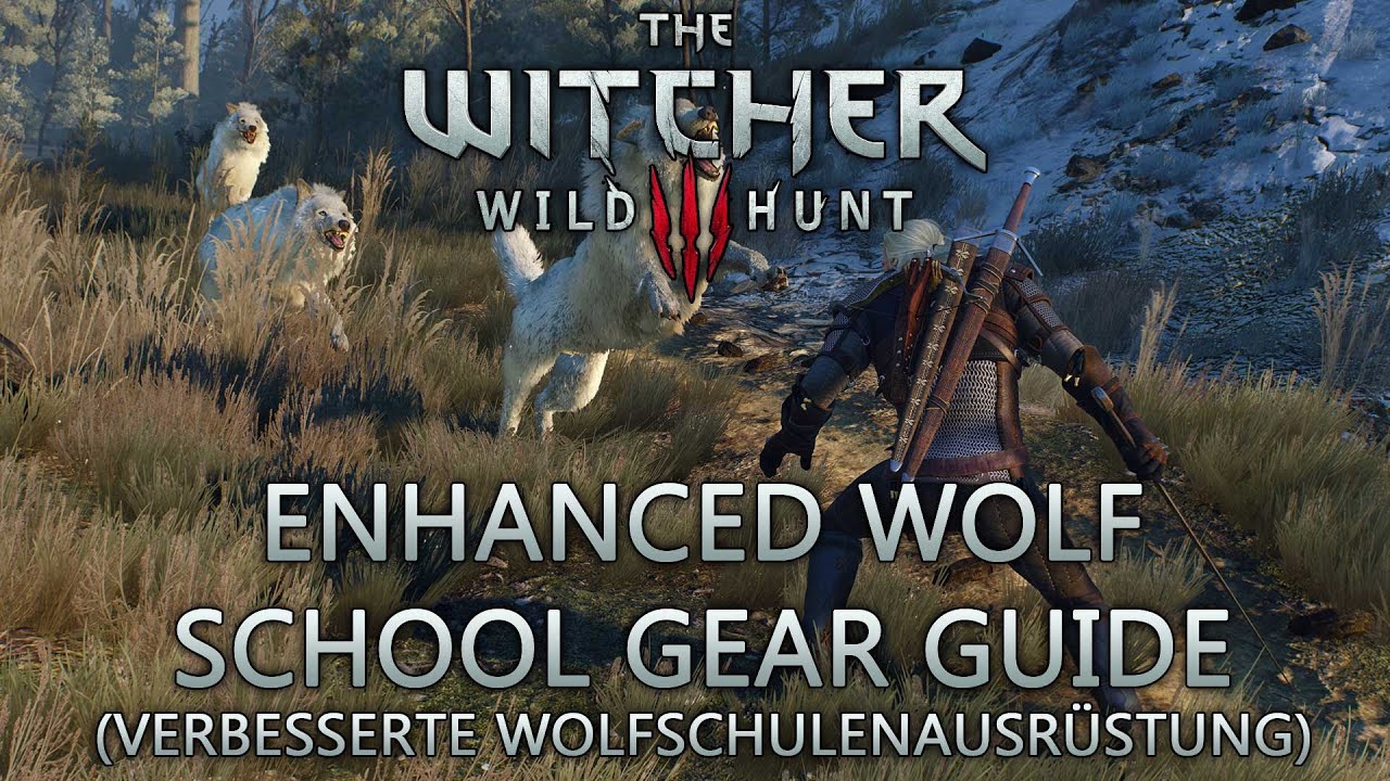 The witcher 3 all school gear фото 95