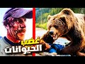 أشخاص نجوا من هجوم الحيوانات المفترسة