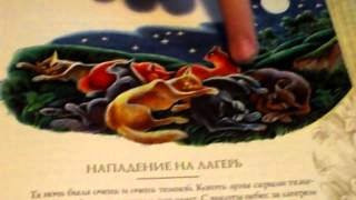 Обзор на путеводитель Коты воители Секреты племён часть3 Обзор на путеводитель Коты воители Секреты племён часть3