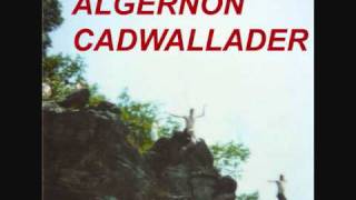 Video thumbnail of "Algernon Cadwallader - Spit Fountain"