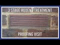 3 stage rodent treatment: proofing visit