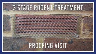 3 stage rodent treatment: proofing visit