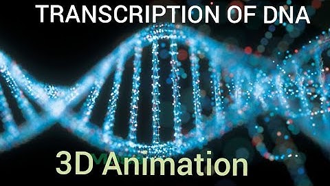 DNA TRANSCRIPTION 3D ANIMATION #coding #biology