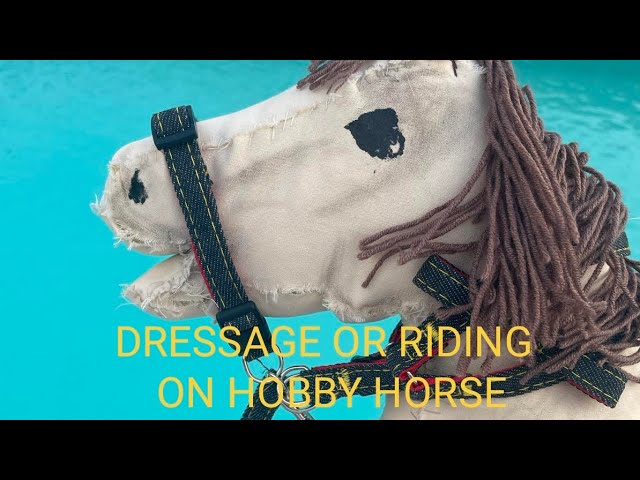 Hobbyhorse Dressage✨ 