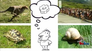 Nature des mots (1/2)