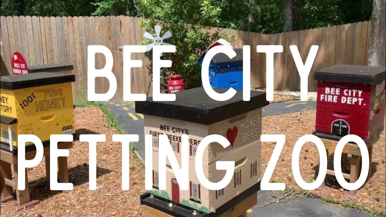 Bee City Petting Zoo, Cottageville South Carolina YouTube