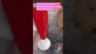 merry Christmas to all   Happy festivities