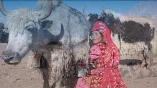 Kyrgyz of the Wakhan Corridor &amp; Afghan Pamirs - CDI&#39;s projects