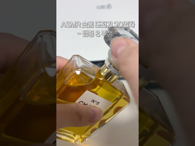 ASMR 태핑 두드리기 & 뚜껑 소리 TAPPING & LID SOUNDS