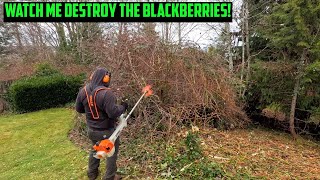 STOPPING The Bramble Madness! | Stihl FS-461 Clearing Saw #satisfying