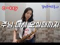 [색소폰연주] 주님다시오실때까지 (saxophone. 길현주)