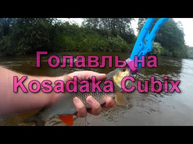 Голавль на Kosadaka Cubix