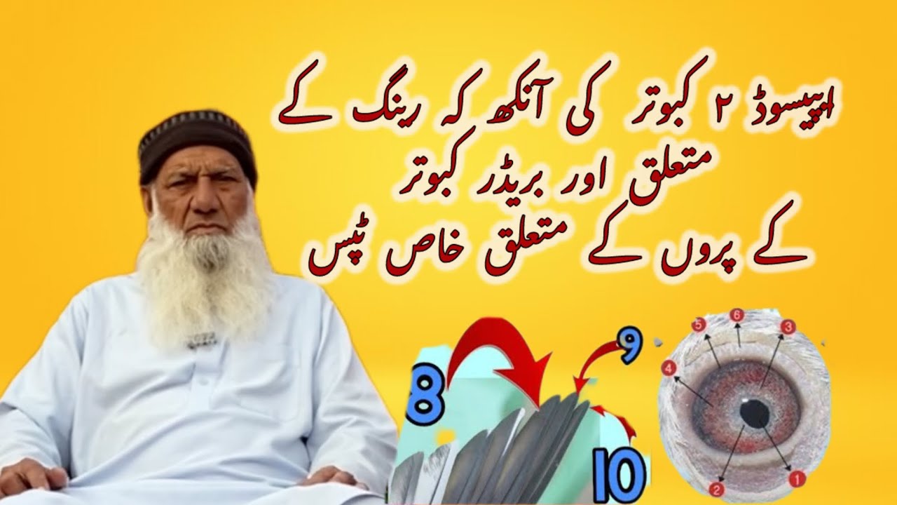 ustad baba Abdul Satar //qasoor 