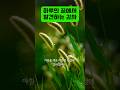 하루의 끝에서 찾은 소중한 감사들!
