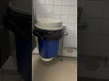 Bro Put A Trash Can In School Bathroom Stall Bro Put A Trash Can In School Bathroom Stall
