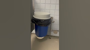 Bro Put A Trash Can in School Bathroom Stall