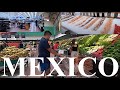 Chedraui Playa Del Carmen | Shopping | MEXICO 🇲🇽 Everything You Need