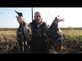 Утка осенью в большой цене. ОХОТА НА УТОК 2018. duck hunting