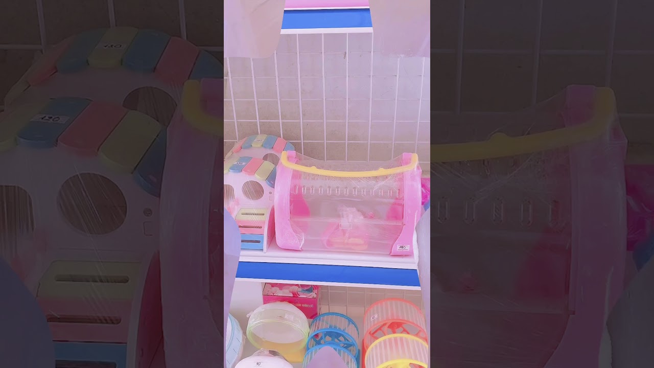 Combo chuột Hamster bò sữa+trà sữa &túi đeo dễ thương... - youtube