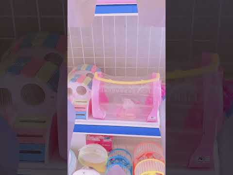 Video Combo chuột Hamster bò sữa+trà sữa &túi đeo dễ thương... - youtube