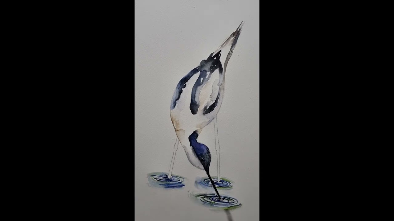 Elle Smith Art. Quick 'Avocet Bird' Watercolour. Music: Push It Baby! Musician: Philip E Morris