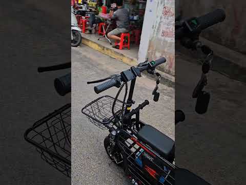 Xe đạp điện Vnbike Hotgirl G1