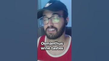 Genshin Impact Web Event Got Fun Details