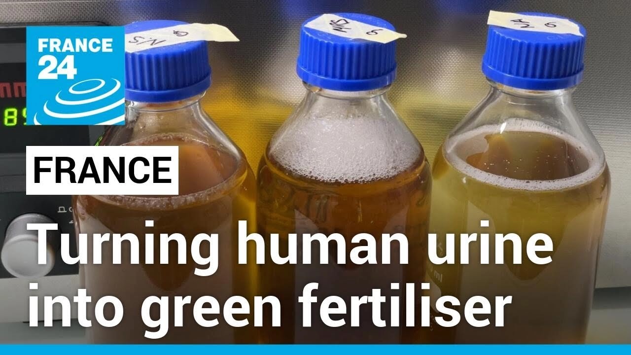 Recycling human urine French startup hopes to kickstart green