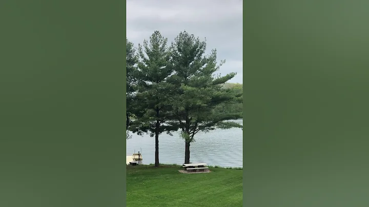 Bonnie Proctor DHLPOA Wake Video