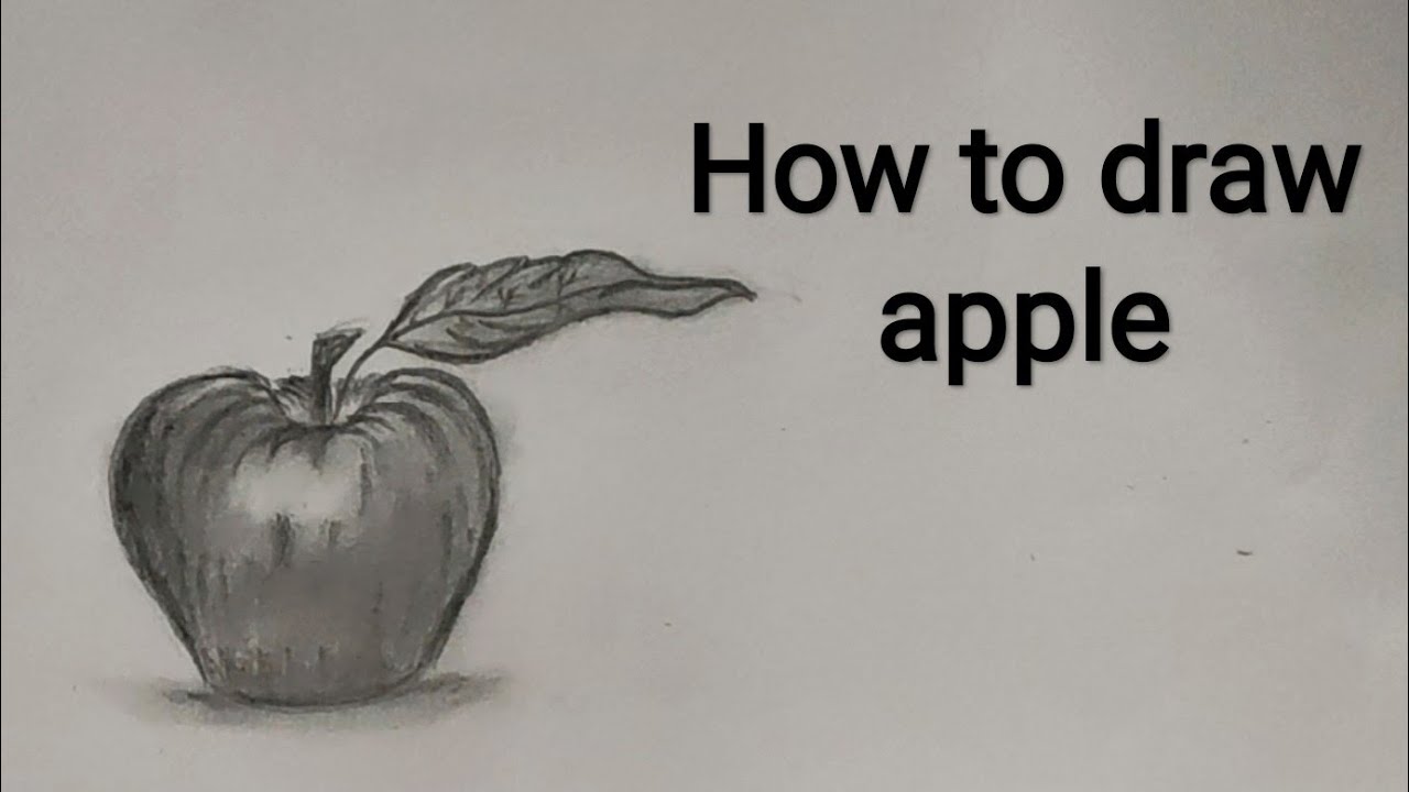 How to draw apple pencil sketch - YouTube