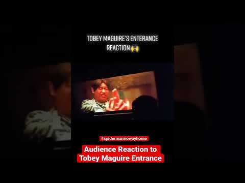 Audience Reaction to Tobey Maguire Entrance In Spider-Man No Way Home