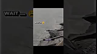 Bro Graduated From Harvard University