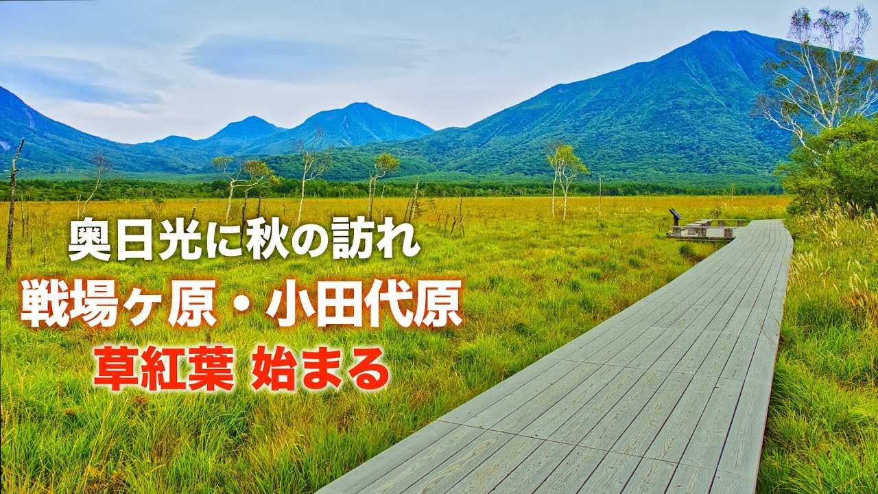 日本画「小田代ヶ原」 奥日光】4K 低公害バス利用で戦場ヶ原〜小田代原〜西ノ湖