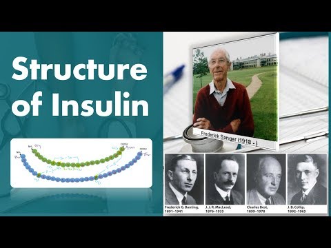 Structure of Insulin biochemistry