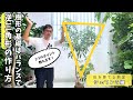 初心者でもできる！シェフレラを美しく育てる逆三角形剪定の3つのコツ