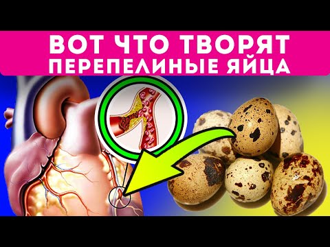 Что творят перепелиные яйца! Вся правда о перепелиных яичках