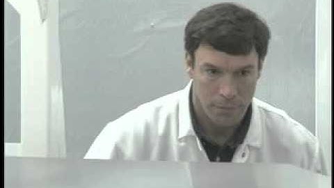 James Webb Space Telescope Mirror Segment