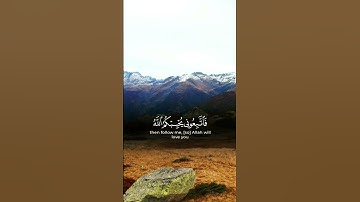 سورة آل عمران _الآية_31_                   Surah Al Imran_                           #المنشاوي ⚘️