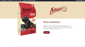 How To Create Product Landing Page