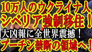 【恐怖の『シベリア抑留』再び！『10万人のウクライナ人がシベリアに強制移住！』ロシア大統領府文書から発覚！】英国メディアから超速報！