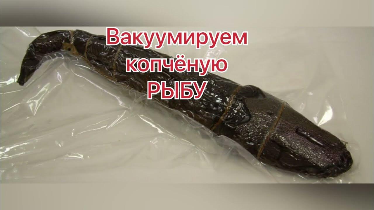 Как довести рыбу без холодильника. Как довести рыбу без холодильника