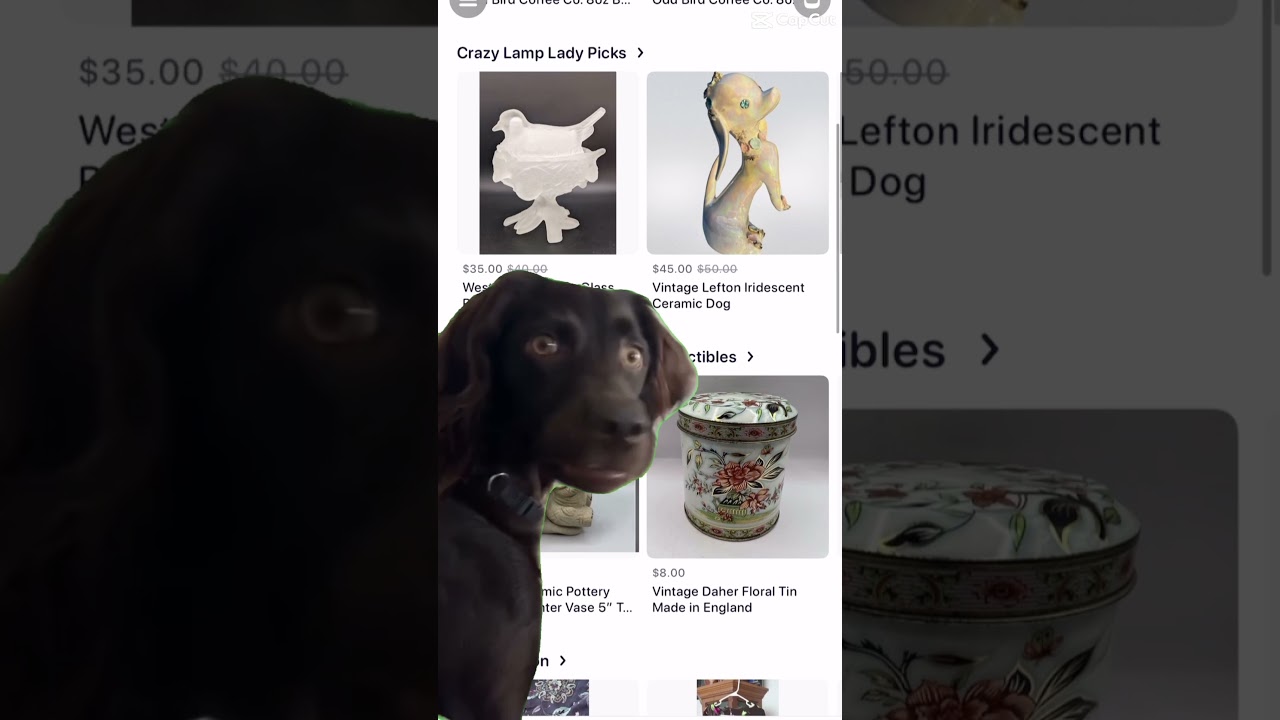 Online auctions and live streaming auctions 