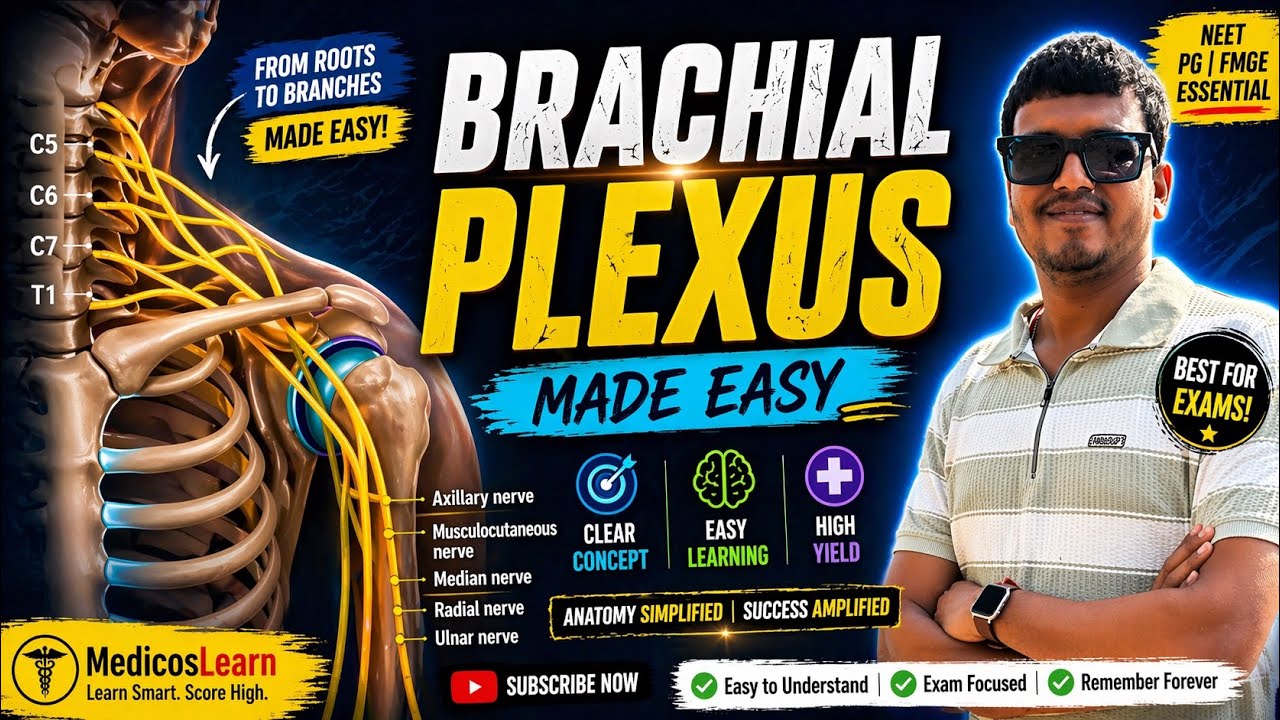 Brachial Plexus in 5 Minutes ⚡ | Full Concept & Mnemonic - YouTube