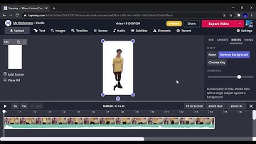 How to Make a Greenscreen in Kapwing
