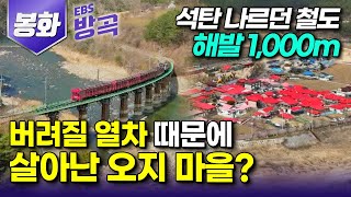 [경북 봉화] 해발 1,000m 사라질 위기의 오지 마을을 다시 살린 열차?┃ 빨간 지붕 가득한 한국의 스위스 '산타마을'┃우리나라 제일 작은 역 '양원역'┃#고향민국 #방방곡곡